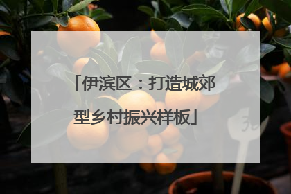 伊滨区：打造城郊型乡村振兴样板