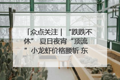 众点关注｜“跌跌不休” 夏日夜宵“顶流”小龙虾价格腰斩 东营人的快乐来了