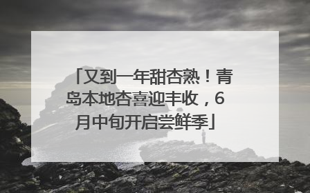又到一年甜杏熟！青岛本地杏喜迎丰收，6月中旬开启尝鲜季