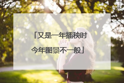 又是一年插秧时 今年图景不一般