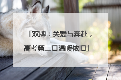 双牌：关爱与奔赴，高考第二日温暖依旧