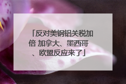 反对美钢铝关税加倍 加拿大、墨西哥、欧盟反应来了