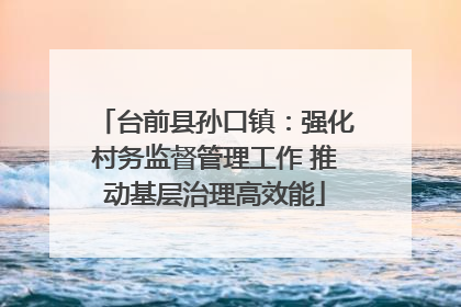 台前县孙口镇：强化村务监督管理工作 推动基层治理高效能
