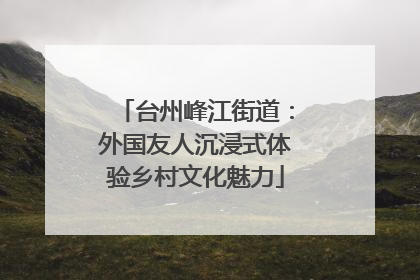 台州峰江街道：外国友人沉浸式体验乡村文化魅力