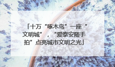 十万“啄木鸟”一座“文明城”，“爱泰安随手拍”点亮城市文明之光