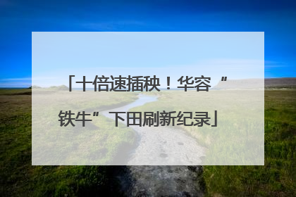 十倍速插秧！华容“铁牛”下田刷新纪录