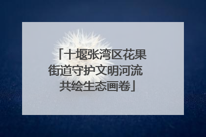 十堰张湾区花果街道守护文明河流 共绘生态画卷
