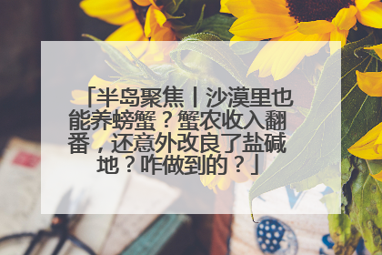 半岛聚焦丨沙漠里也能养螃蟹？蟹农收入翻番，还意外改良了盐碱地？咋做到的？
