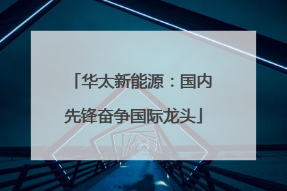华太新能源：国内先锋奋争国际龙头