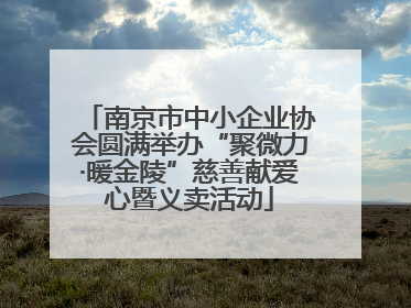 南京市中小企业协会圆满举办“聚微力·暖金陵”慈善献爱心暨义卖活动