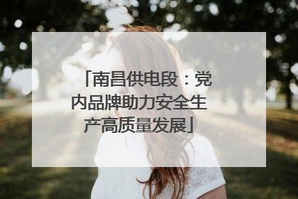 南昌供电段：党内品牌助力安全生产高质量发展