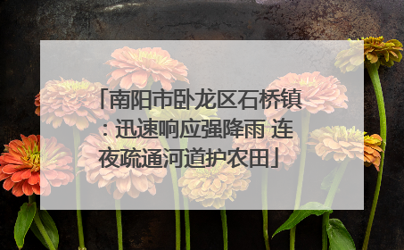 南阳市卧龙区石桥镇：迅速响应强降雨 连夜疏通河道护农田