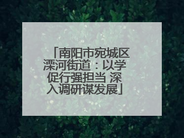 南阳市宛城区溧河街道：以学促行强担当 深入调研谋发展