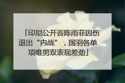 印尼公开赛陈雨菲因伤退出“内战”，国羽各单项唯男双表现差劲