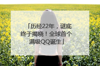 历经22年，谜底终于揭晓！全球首个满级QQ诞生