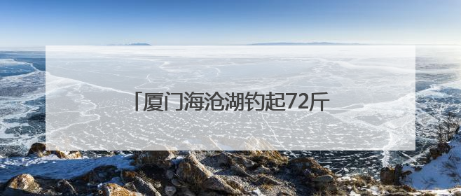 厦门海沧湖钓起72斤石斑鱼！2米深的人工湖为何有这么大的鱼？