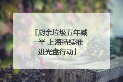 厨余垃圾五年减一半 上海持续推进光盘行动