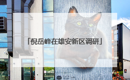 倪岳峰在雄安新区调研