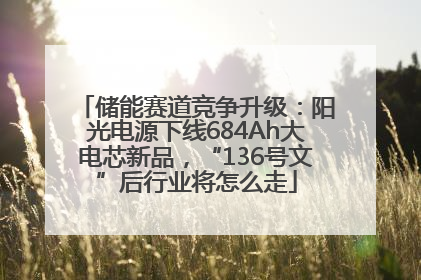 储能赛道竞争升级：阳光电源下线684Ah大电芯新品，“136号文”后行业将怎么走