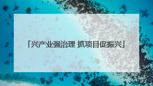 兴产业强治理 抓项目促振兴