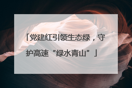 党建红引领生态绿，守护高速“绿水青山”