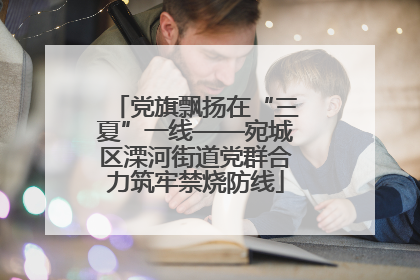 党旗飘扬在“三夏”一线——宛城区溧河街道党群合力筑牢禁烧防线