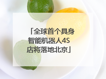 全球首个具身智能机器人4S店将落地北京
