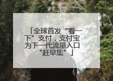 全球首发“看一下”支付，支付宝为下一代流量入口“赶早集”