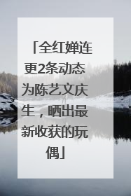 全红婵连更2条动态为陈艺文庆生，晒出最新收获的玩偶