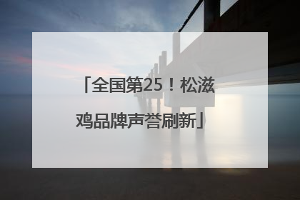 全国第25！松滋鸡品牌声誉刷新