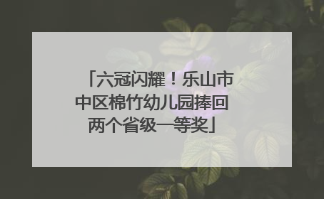 六冠闪耀！乐山市中区棉竹幼儿园捧回两个省级一等奖