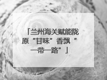 兰州海关赋能陇原“甘味”香飘“一带一路”