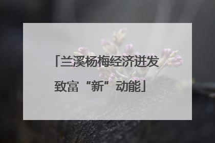 兰溪杨梅经济迸发致富“新”动能