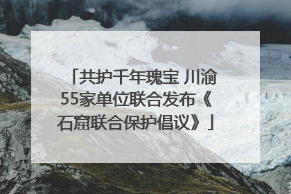 共护千年瑰宝 川渝55家单位联合发布《石窟联合保护倡议》
