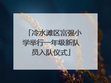 冷水滩区富强小学举行一年级新队员入队仪式