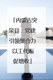 内蒙古突泉县：党建引领聚合力 以工代赈促增收