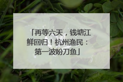 再等六天，钱塘江鲜回归！杭州渔民：第一波盼刀鱼