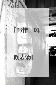 写作｜风吹麦浪