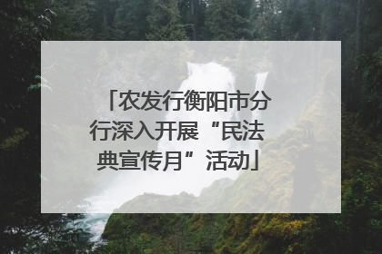 农发行衡阳市分行深入开展“民法典宣传月”活动