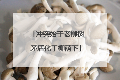 冲突始于老柳树 矛盾化于柳荫下