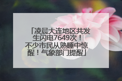 凌晨大连地区共发生闪电7649次！不少市民从熟睡中惊醒！气象部门提醒