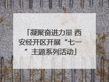 凝聚奋进力量 西安经开区开展“七一”主题系列活动