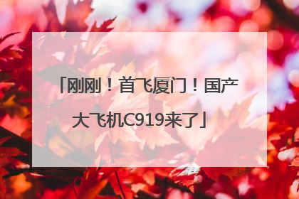 刚刚！首飞厦门！国产大飞机C919来了