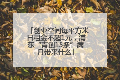 创业空间每平方米日租金不超1元，浦东“青创15条”满月带来什么