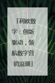 利欧数字：创新驱动，领航数字营销浪潮