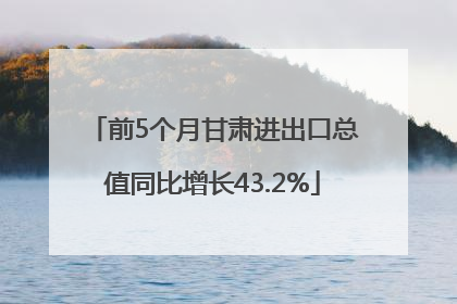 前5个月甘肃进出口总值同比增长43.2%