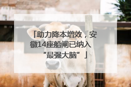 助力降本增效，安徽14座船闸已纳入“最强大脑”