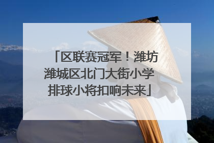 区联赛冠军！潍坊潍城区北门大街小学排球小将扣响未来