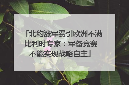 北约涨军费引欧洲不满 比利时专家：军备竞赛不能实现战略自主