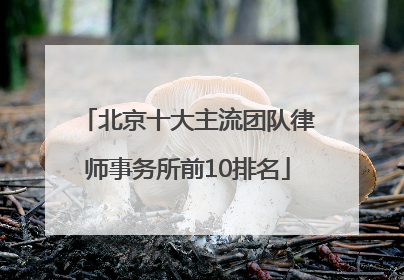 北京十大主流团队律师事务所前10排名